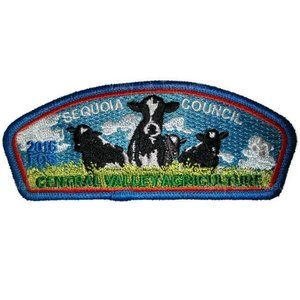Limited Edition 2016 Sequoia Council BSA Friends of Scouting Shoulder Patch
